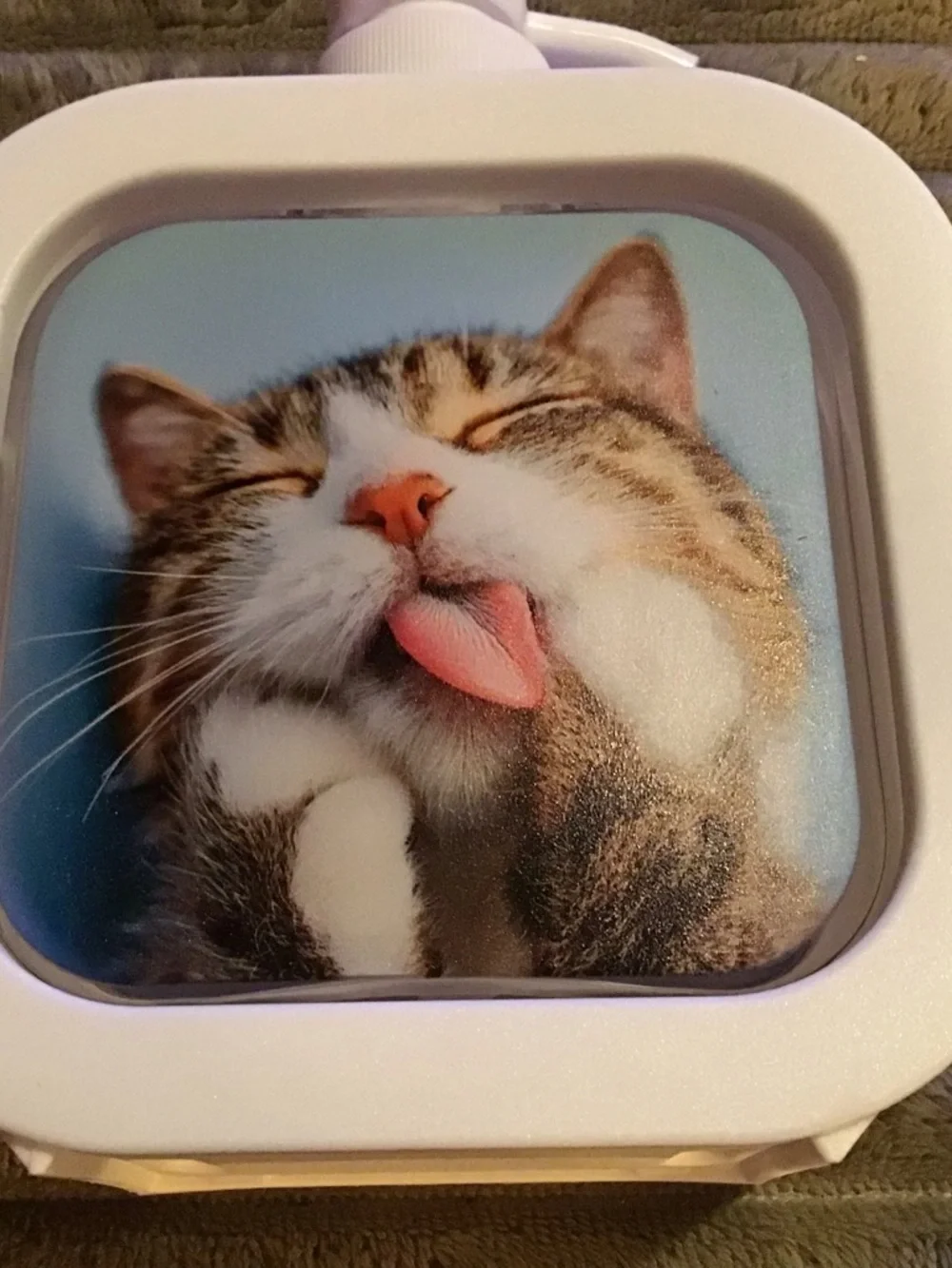 White Cat-Themed Pet Shampoo Dispenser Bottle